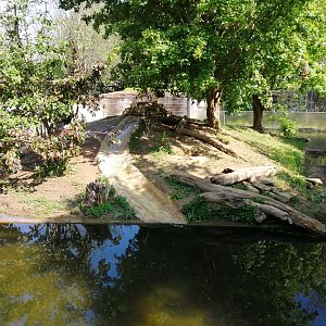 Smooth-coated Otters Exhibit