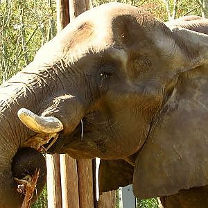 Ali's 30th Birthday (B-Roll) - YouTube