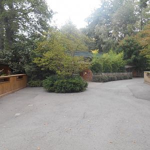 First steps in the zoo...