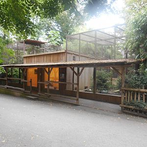 Kea and Cockatoos Aviaries