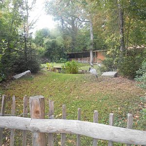 Demoiselle Cranes Exhibit