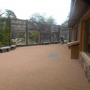 Brown Bears Viewing Area