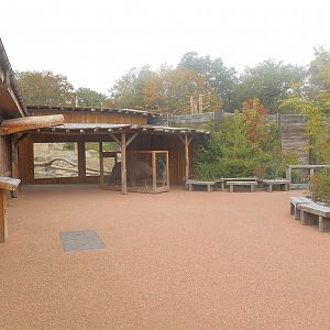 Brown Bears Viewing Area