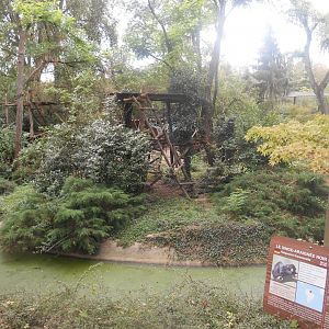 Spider Monkeys Island