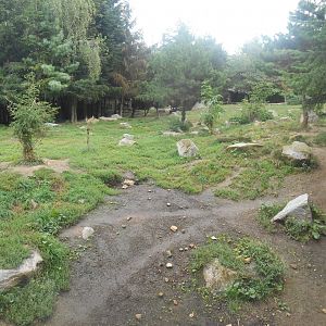 Arctic Wolves Exhibit