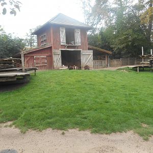 Children'Zoo - Goats Exhibit