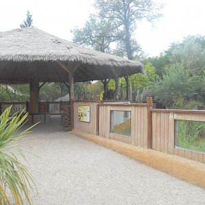 African Wild Dog Viewing Area