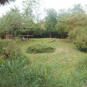 African Wild Dogs Exhibit