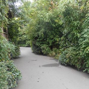 Access to "Orangutan Jungle"