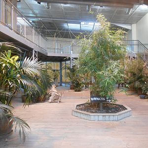 Orangutans House Hall