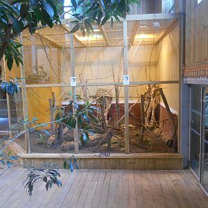 Clouded Rats Exhibit