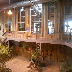 Orangutans House Hall