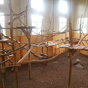 Largest Orangutans Indoor Exhibit