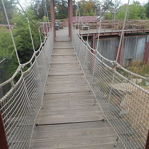 Bridge over the geladas exhibit
