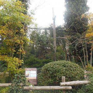 European Vultures Aviary