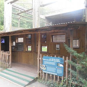 Bearded Vultures Aviary
