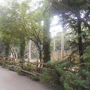 African Vultures Aviary