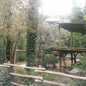 Andean Condors Aviary