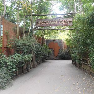 "Gorilla Camp" Entrance