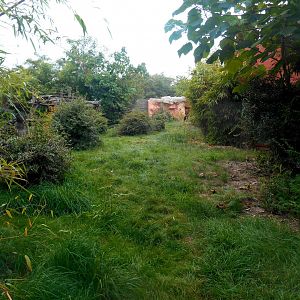 Second Gorillas Exhibit