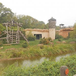 Second Gorillas Exhibit
