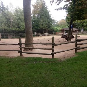 Mixed Species Exhibit