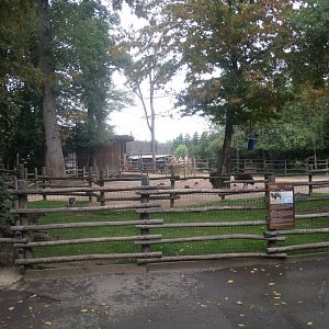 Mixed Species Exhibit