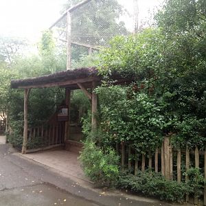 Secretary Birds Aviary