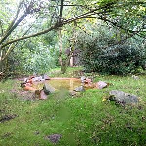 Secretary Birds Aviary