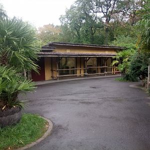 Peruvia : Giant Anteaters House