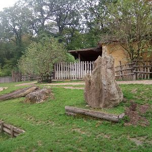 Peruvia : South American Exhibit (Tapirs)