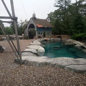 Peruvia : Humboldt Penguins Exhibit