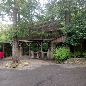 Peruvia : Hyacinth Macaw and Great Curassow Aviary