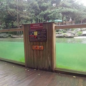 North American River Otters Exhibit