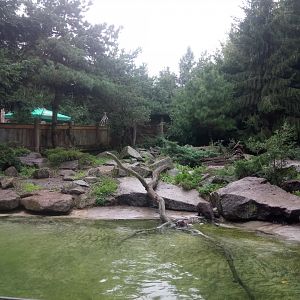 North American River Otters Exhibit