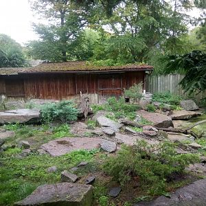 North American River Otters Exhibit