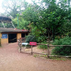 Wading Birds Walkthrough Aviary