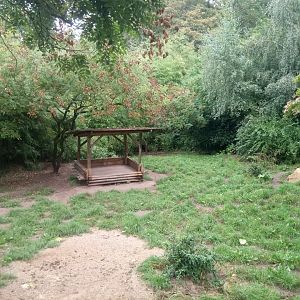 Maned Wolves Exhibit