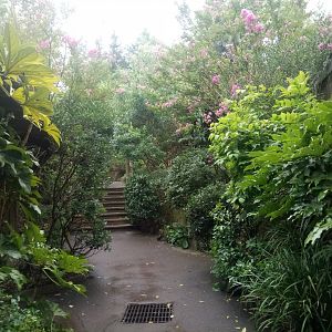 South American Monkeys Area