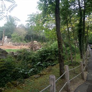 African Elephants Exhibit