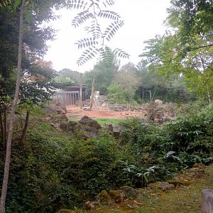 African Elephants Exhibit