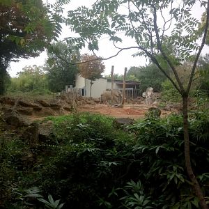 African Elephants Exhibit