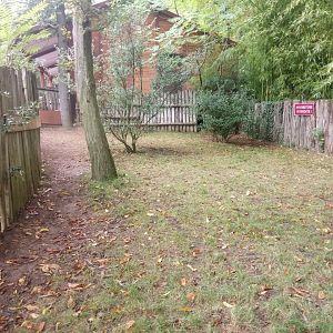 Radiated Tortoises Exhibit