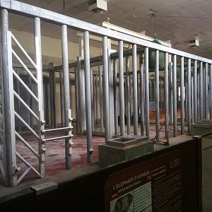 Elephant House : Elephants Indoor