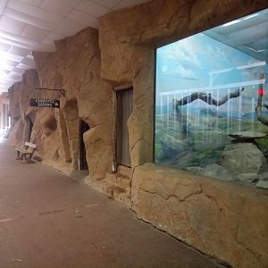 Elephant House : Small Exhibit