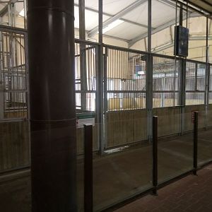 Giraffe House : Giraffes Indoor