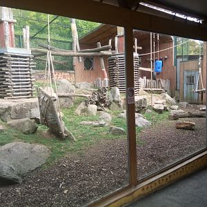 Mandrills Outdoor Exhibit