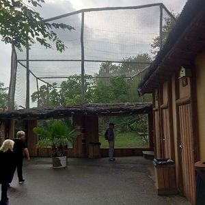 Black-and-white Ruffed Lemurs Exhibit
