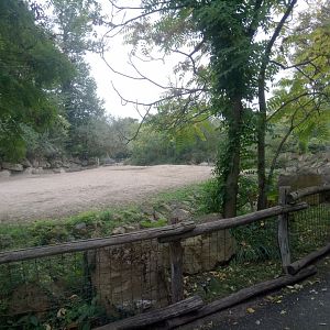 First Southern White Rhinoceros Exhibit