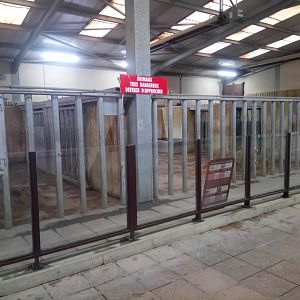 Rhino House : White Rhinoceros Indoor